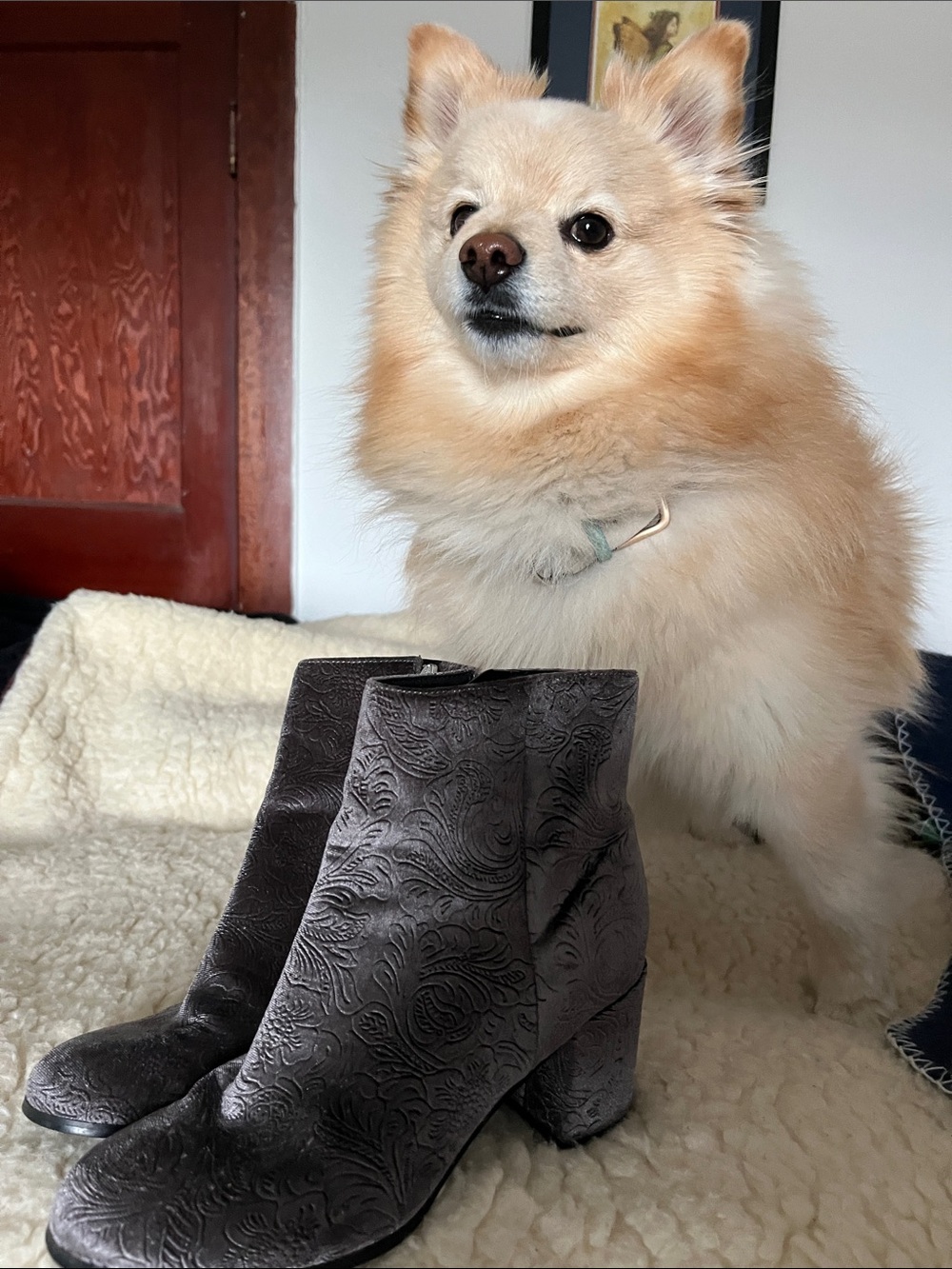 Classic Textured Ankle Boots in Dark Grey  from Indigo Rd